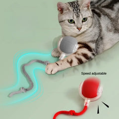 Bouncetug Pet Ball - Sale🎉