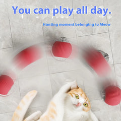 Bouncetug Pet Ball - Sale🎉
