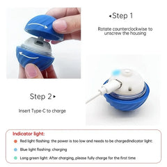Rolling Ball Dog Toy