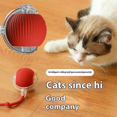 Bouncetug Pet Ball - Sale🎉